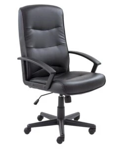 Canasta II Executive Leather Chair