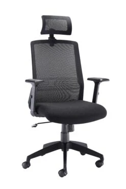 Denali High Back Mesh Office Chair
