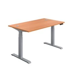 Economy Sit Stand Desk 1600 X 800