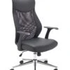 Fonseca Mesh Back Desk Chair
