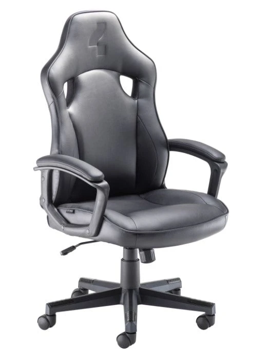 Ludus Gaming Chair 1 Ludus Gaming Chair