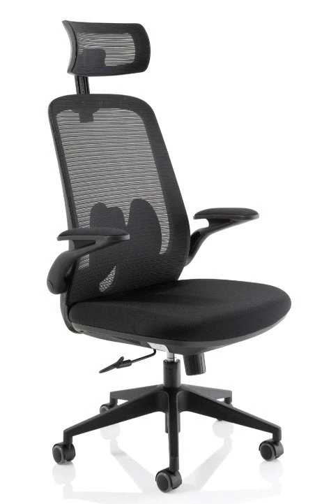 Sigma Executive Mesh Office Chair 1 Sigma Executive Mesh Office Chair