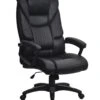 Titan Ergonomic Office Chair