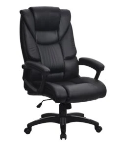 Titan Ergonomic Office Chair