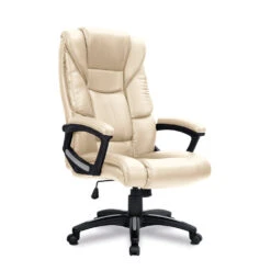Titan Ergonomic Office Chair -Office Supermarket Store titan ergonomic office chair executive chairs nautilus designs cream 134775