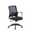 Toto Mesh Back Office Chair