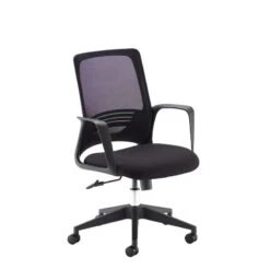 Toto Mesh Back Office Chair