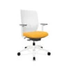 TRIM Mesh Back Office Chair