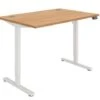 Workwise Sit Stand Desk
