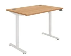 Workwise Sit Stand Desk